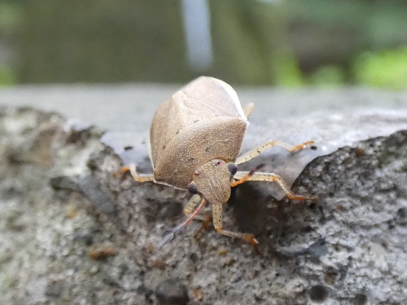 photo_2
